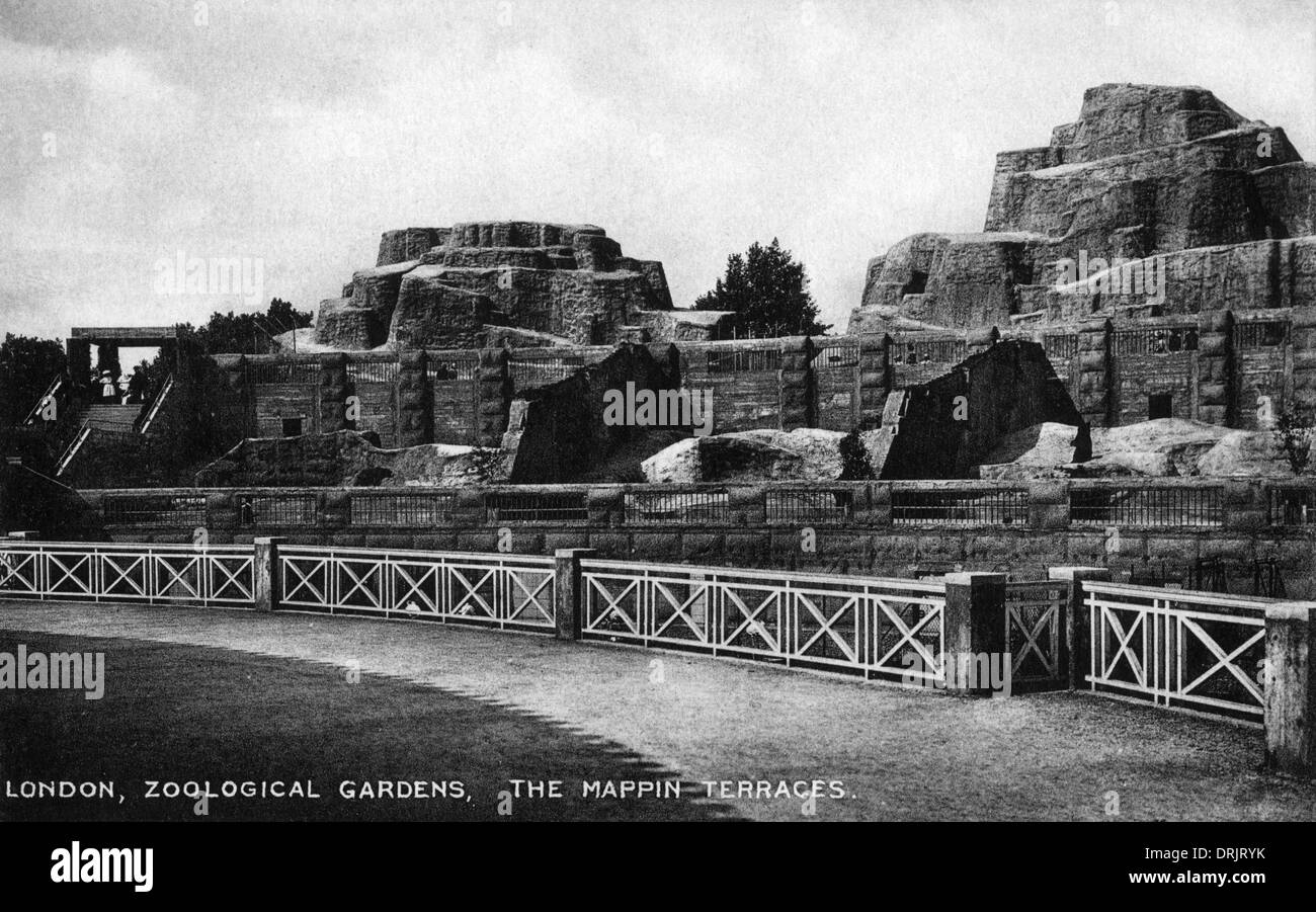 The Mappin Terraces in the London Zoological Gardens Stock Photo