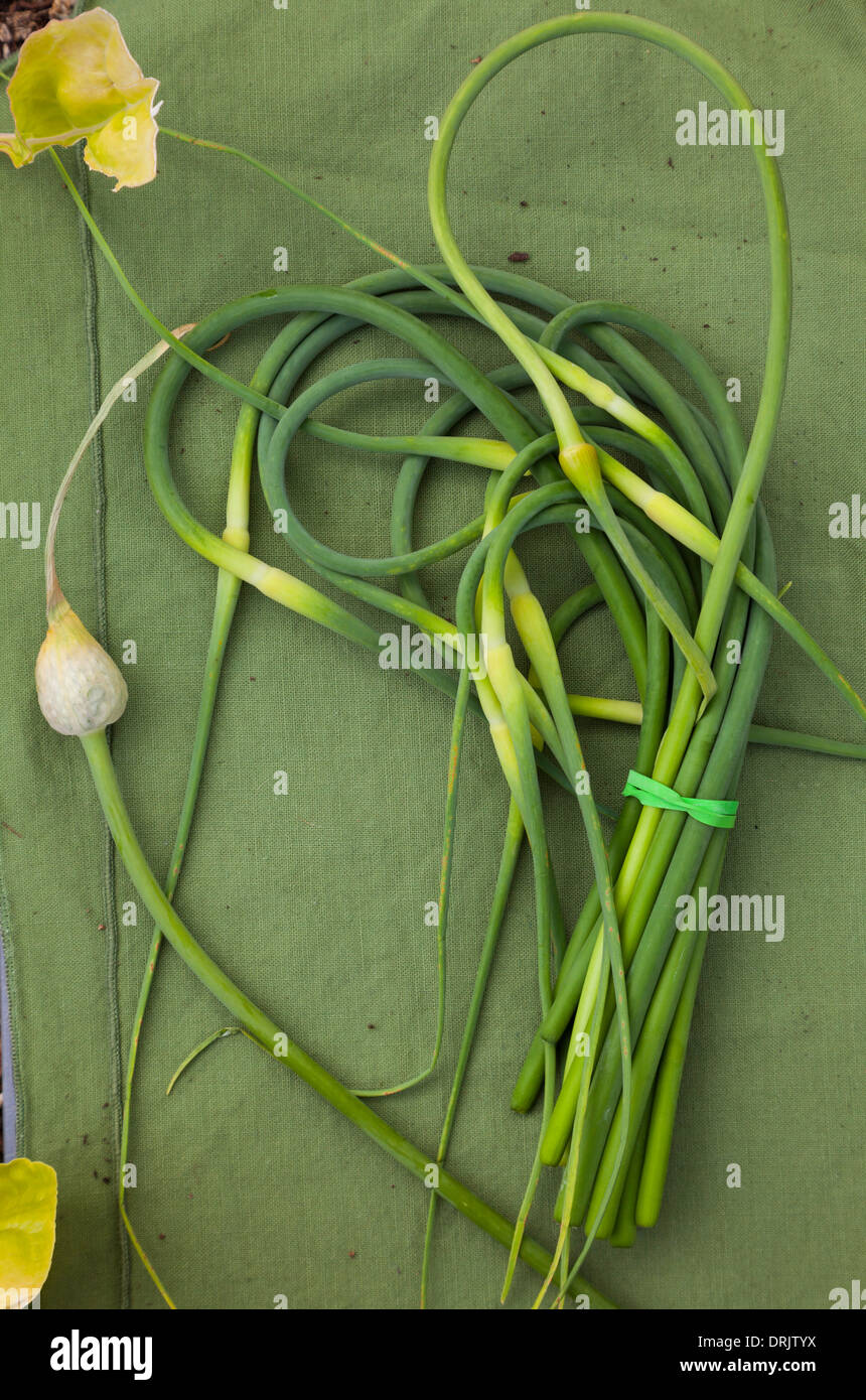 Seasonal scapes hires stock photography and images Alamy