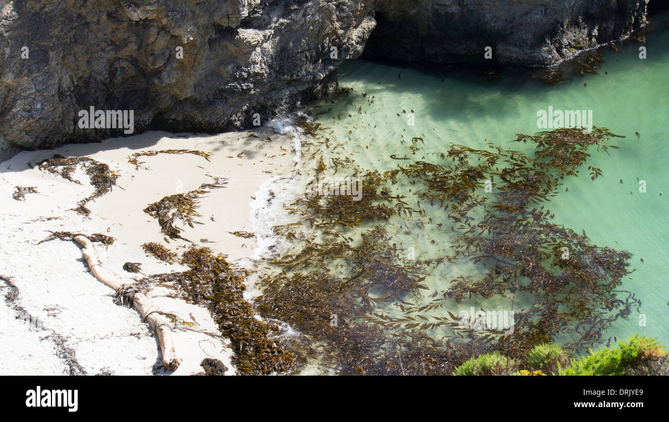 China Cove, Point Lobos State Park, California Stock Photo
