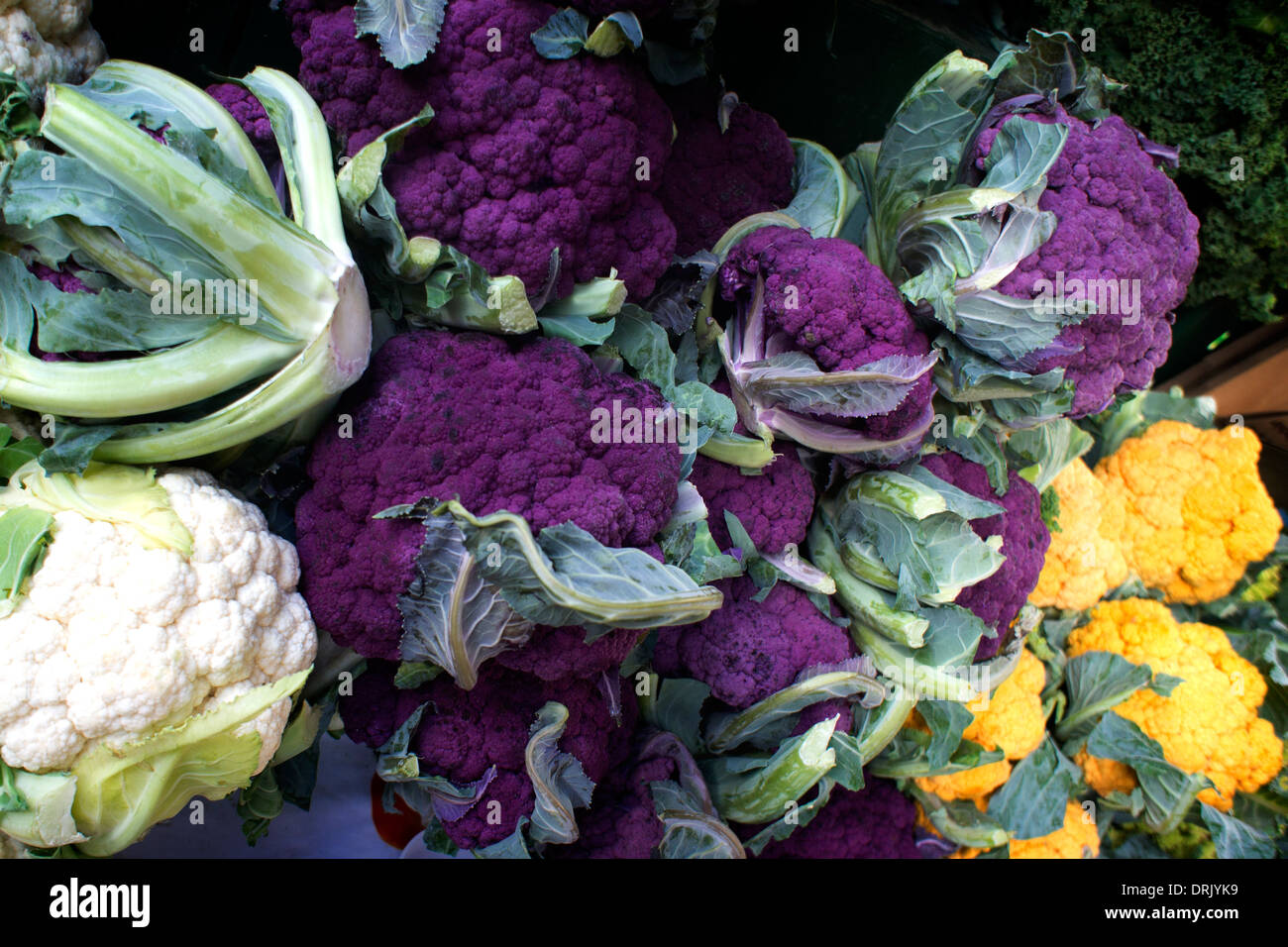 Fresh produce farmers market, Monterey California Stock Photo Alamy