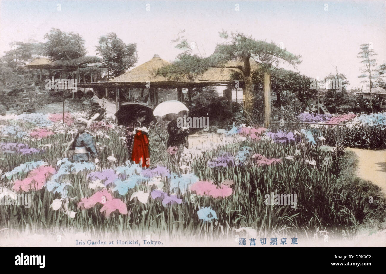 The Iris Flower Garden, Horikiri, Tokyo, Japan Stock Photo