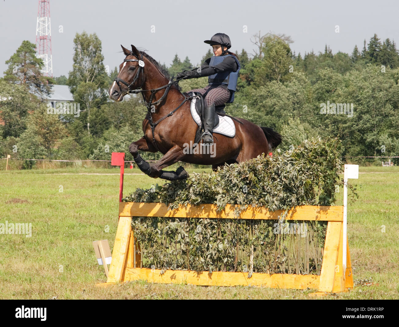 Image of beautiful girl with purebred horse, jumping a hurdle in field Stock Photo