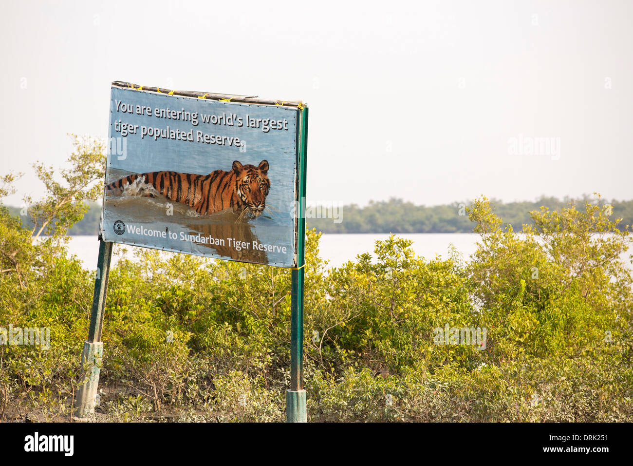 A Tiger reserve in the Sunderbans, Ganges, Delta, India, the area is very low lying and vulnerable to sea level rise. Stock Photo