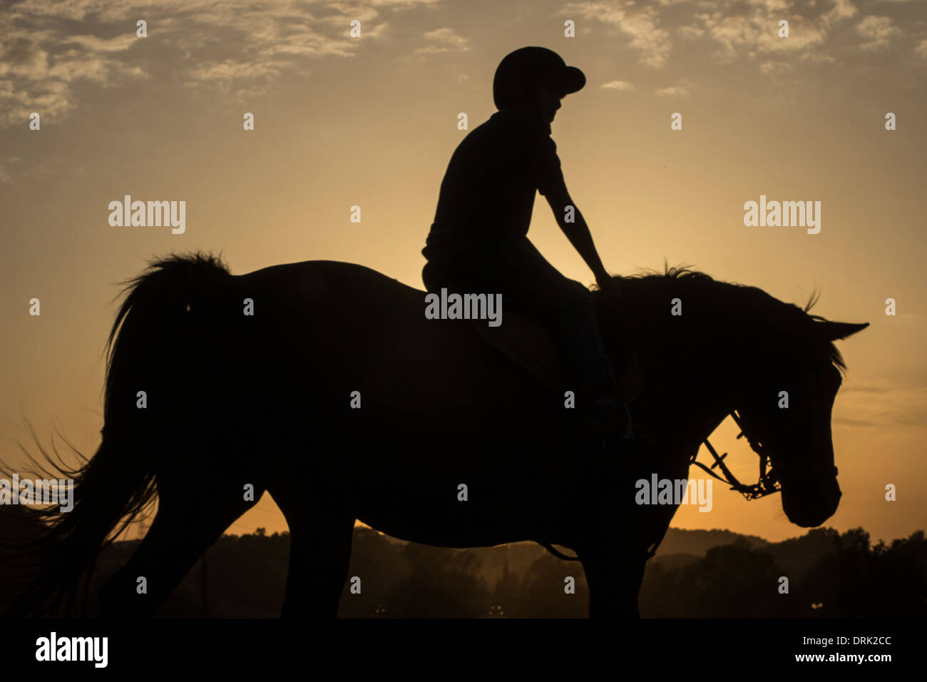 Silhouette jockey riding horse hi-res stock photography and images - Alamy