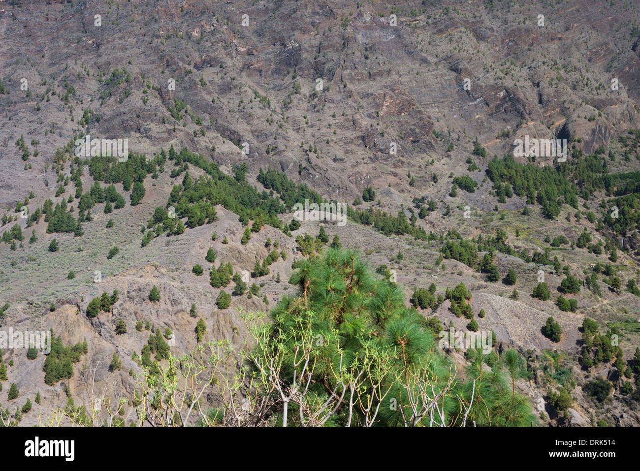 Section of huge cliif on northern side of the gigantic gorge of Barranco de las Angustias, La Palma, Canary Islands, Spain Stock Photo