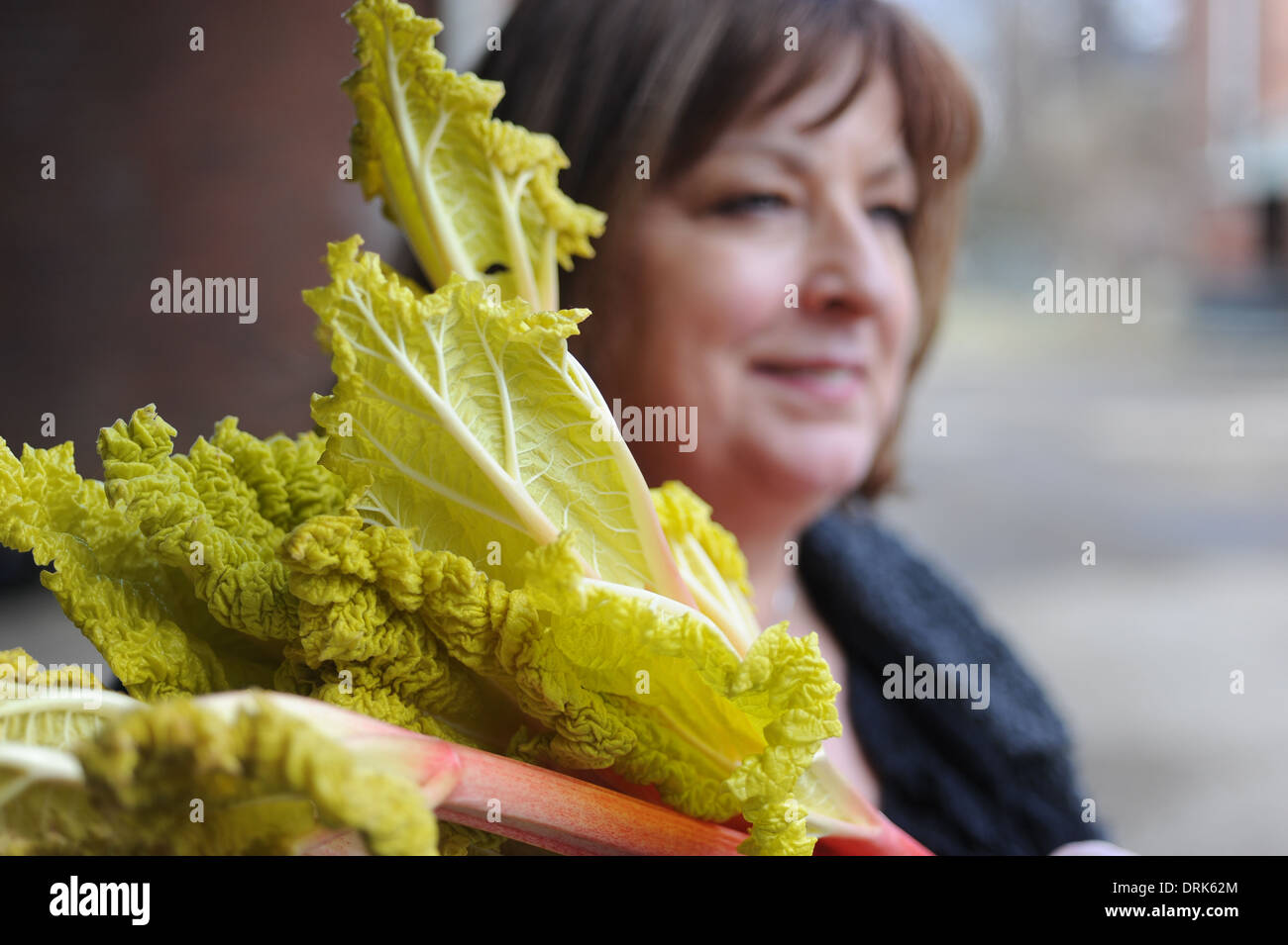 Oldroyd's rhubarb farm in Carlton near Wakefield, West Yorkshire, UK