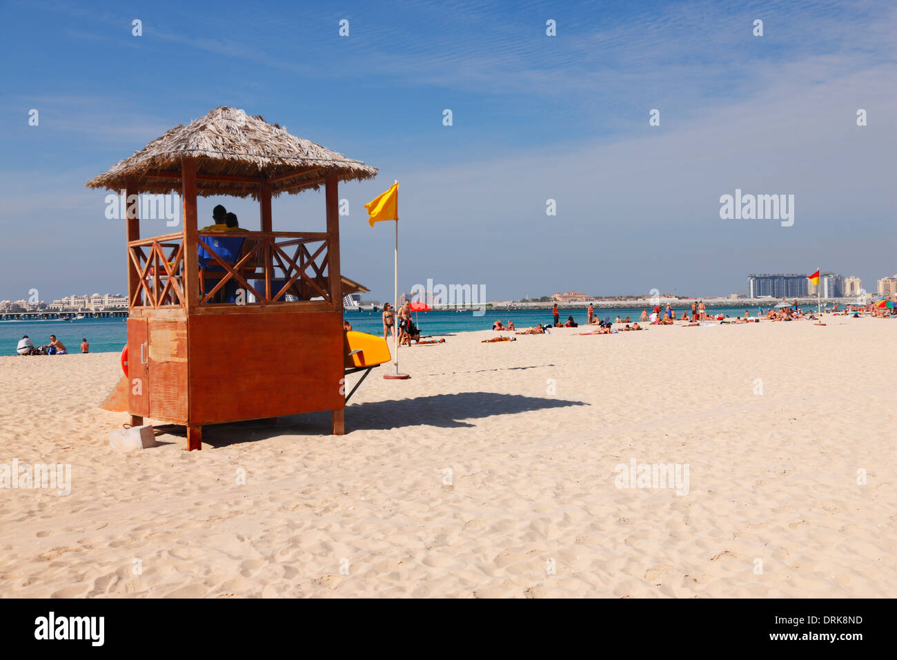 Camel on the Jumeirah beach, Dubai Stock Photo