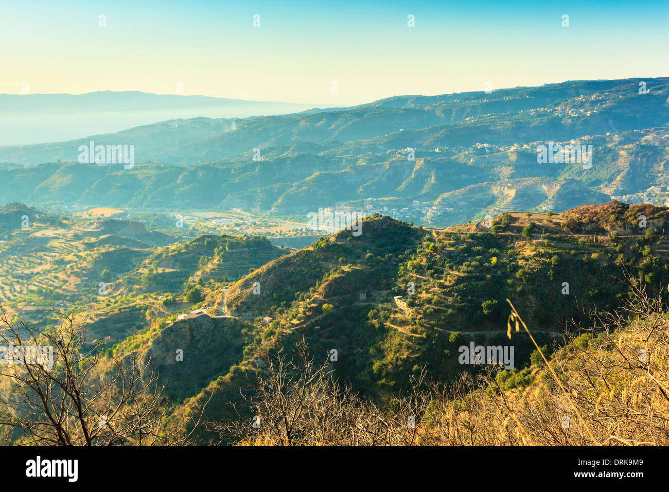 Olive grove calabria italy hi-res stock photography and images - Alamy