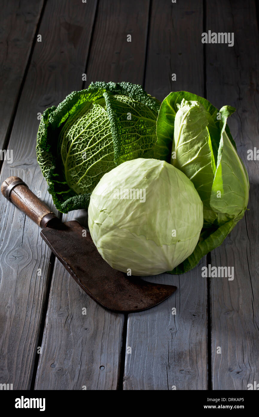 Brassica oleracea capitata sabauda hires stock photography and images