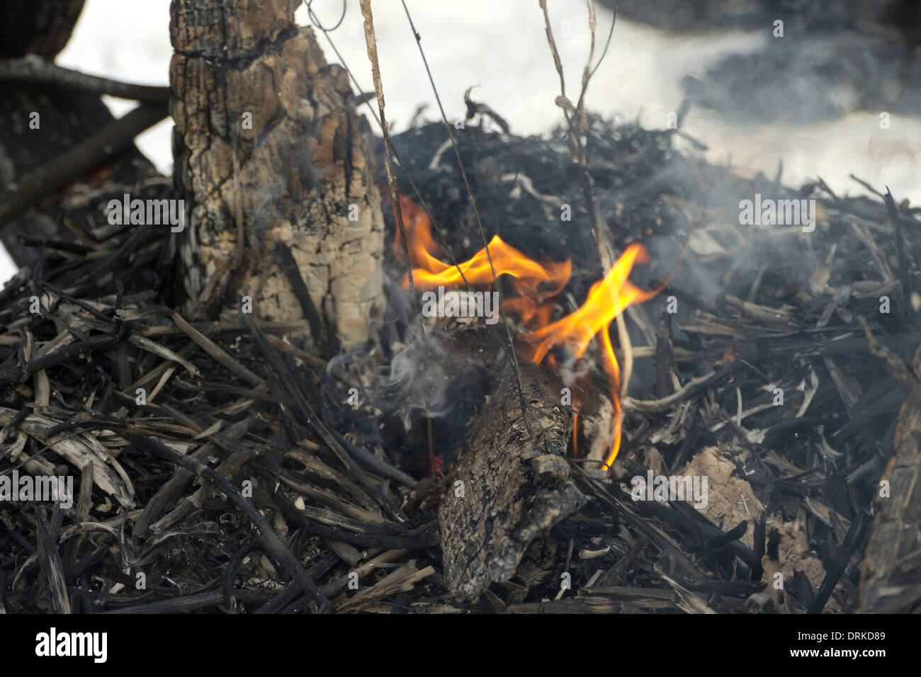 625 2013 est in 2001 hi-res stock photography and images - Alamy