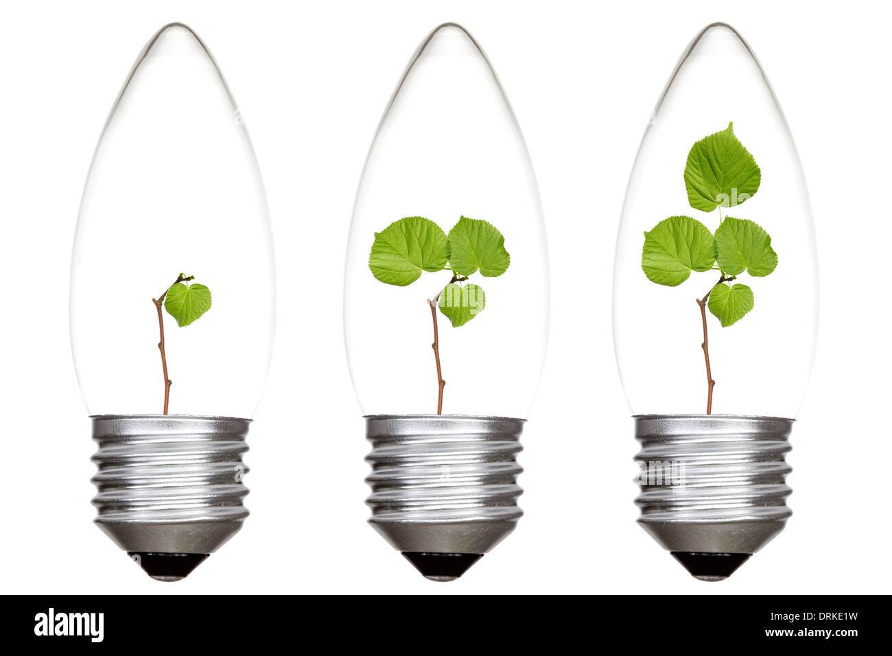 Light bulbs with green plants inside. Isolated on white background ...