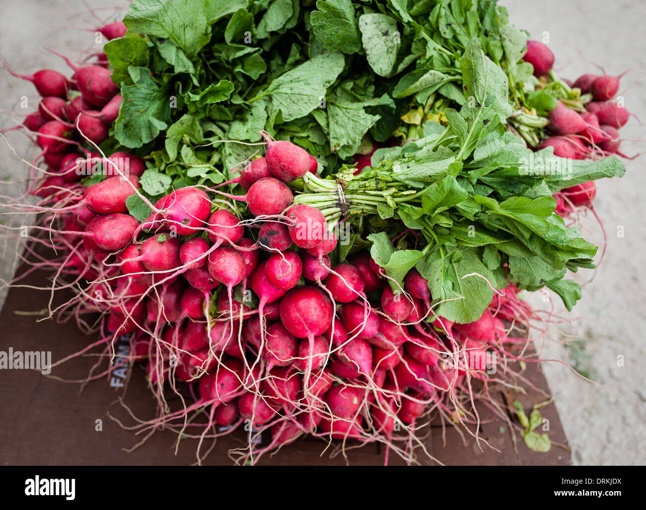 Red radishes at an outdoor market Stock Photo