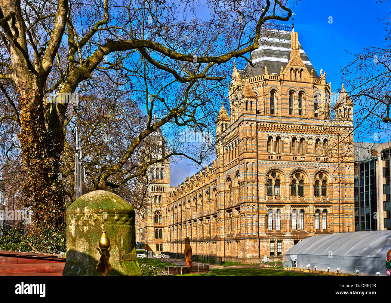 The Natural History Museum is one of three large museums on Exhibition Road, South Kensington, London, England Stock Photo