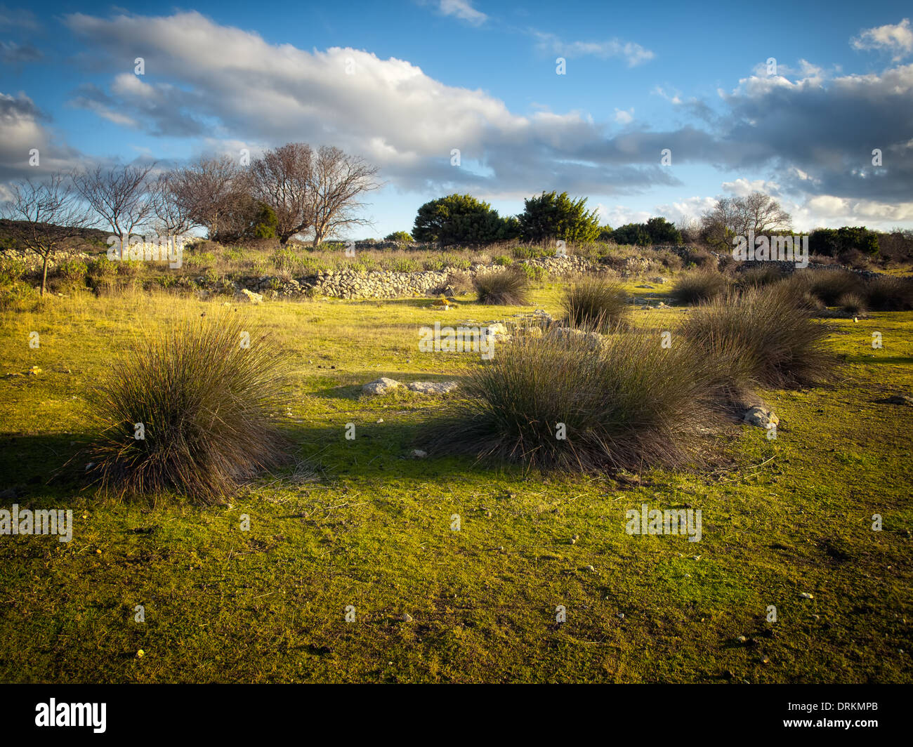 View of the landscape typical for the Mediterranean regions. Stock Photo