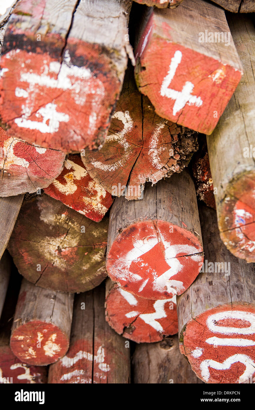 Red numbered hi-res stock photography and images - Alamy