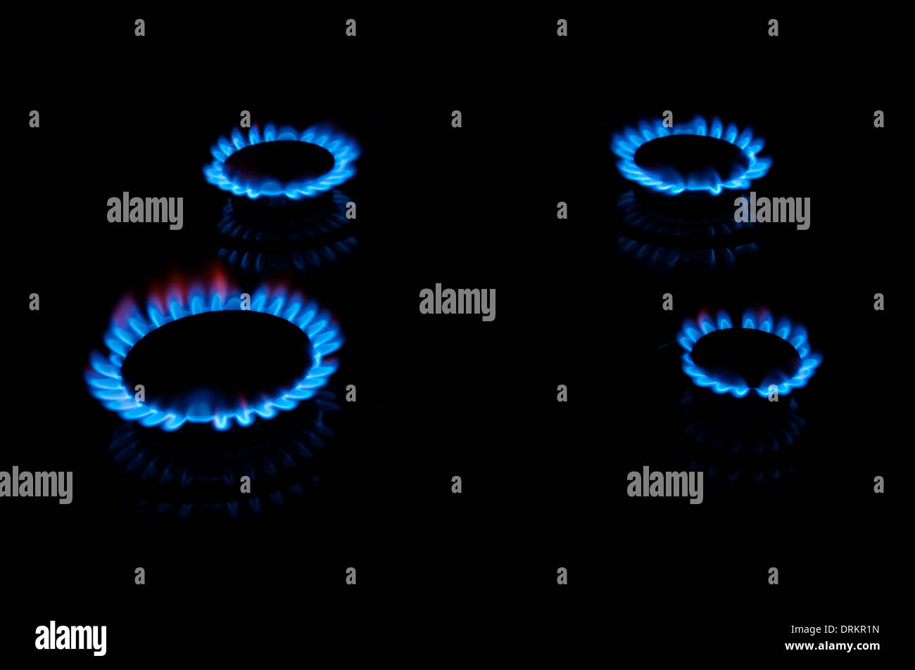 Blue gas flames from four stove burners in the dark Stock Photo Alamy