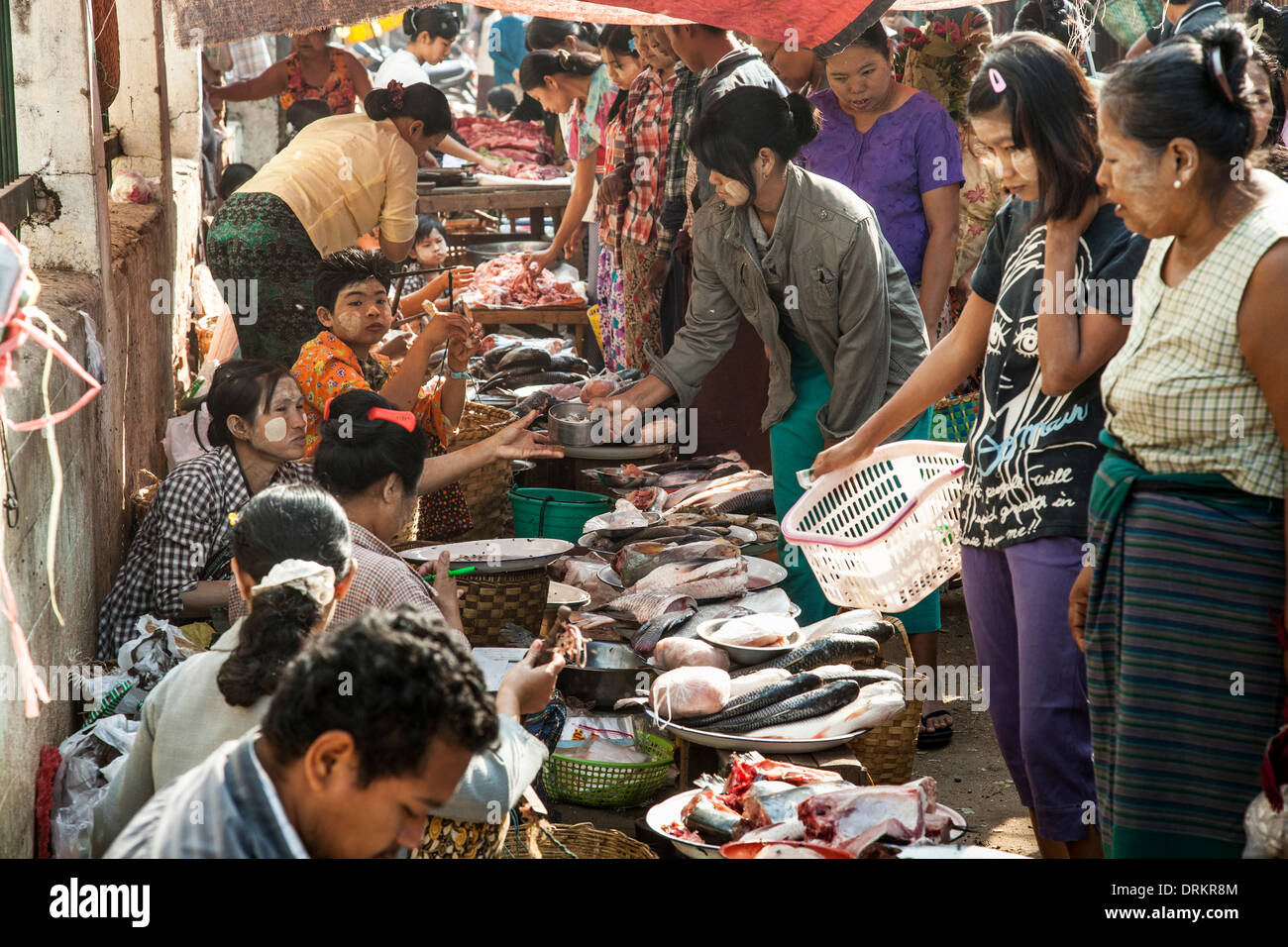 Fish market yangon myanmar hires stock photography and images Alamy