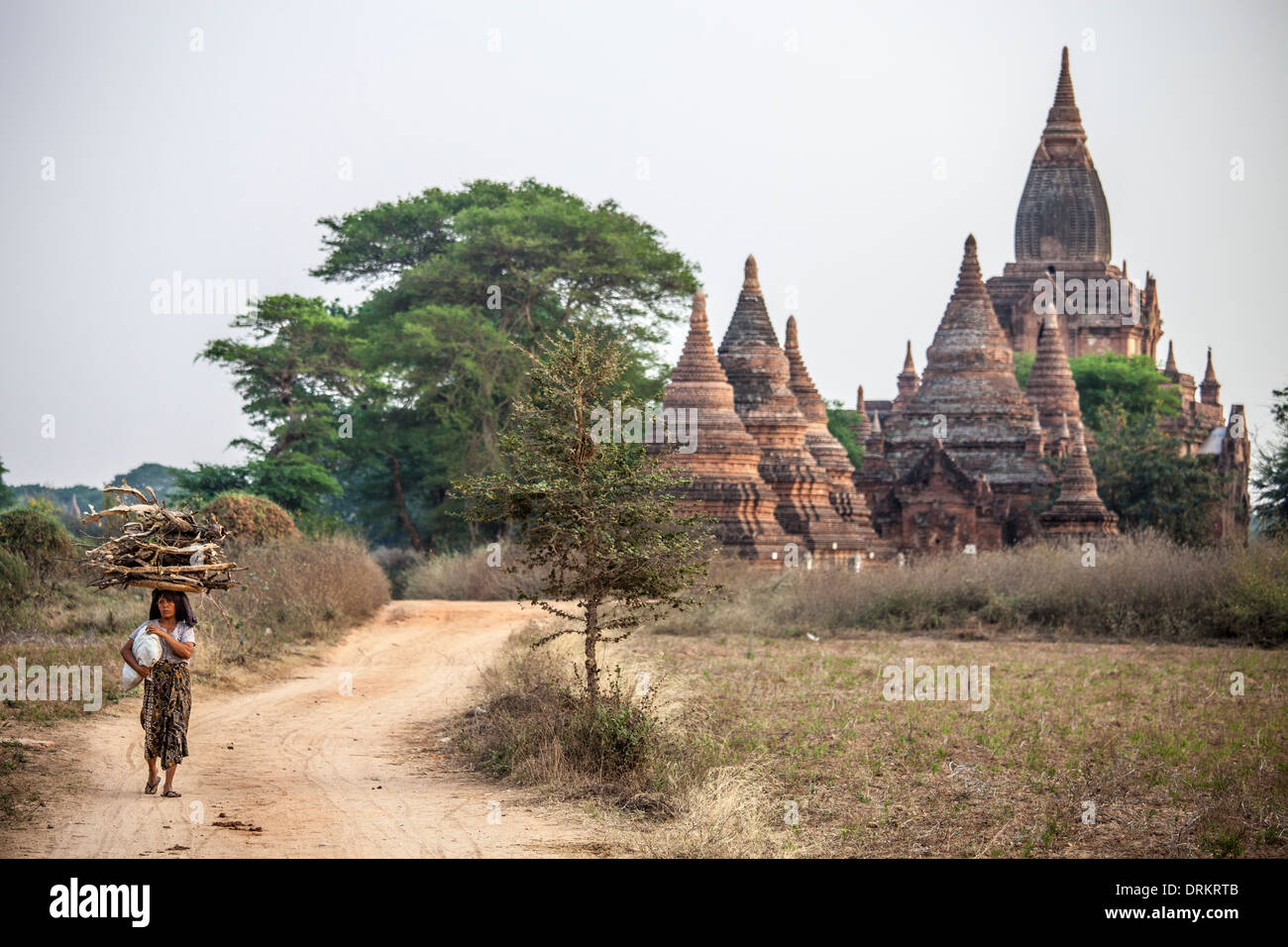 Woman carrying firewood and a Buddhist Temple complex in Bagan, Myanmar Stock Photo