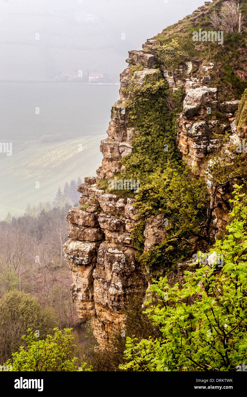 Rock face at the top of Sutton Bank with Hood Grange Wood in the background, North Yorkshire, UK. Stock Photo
