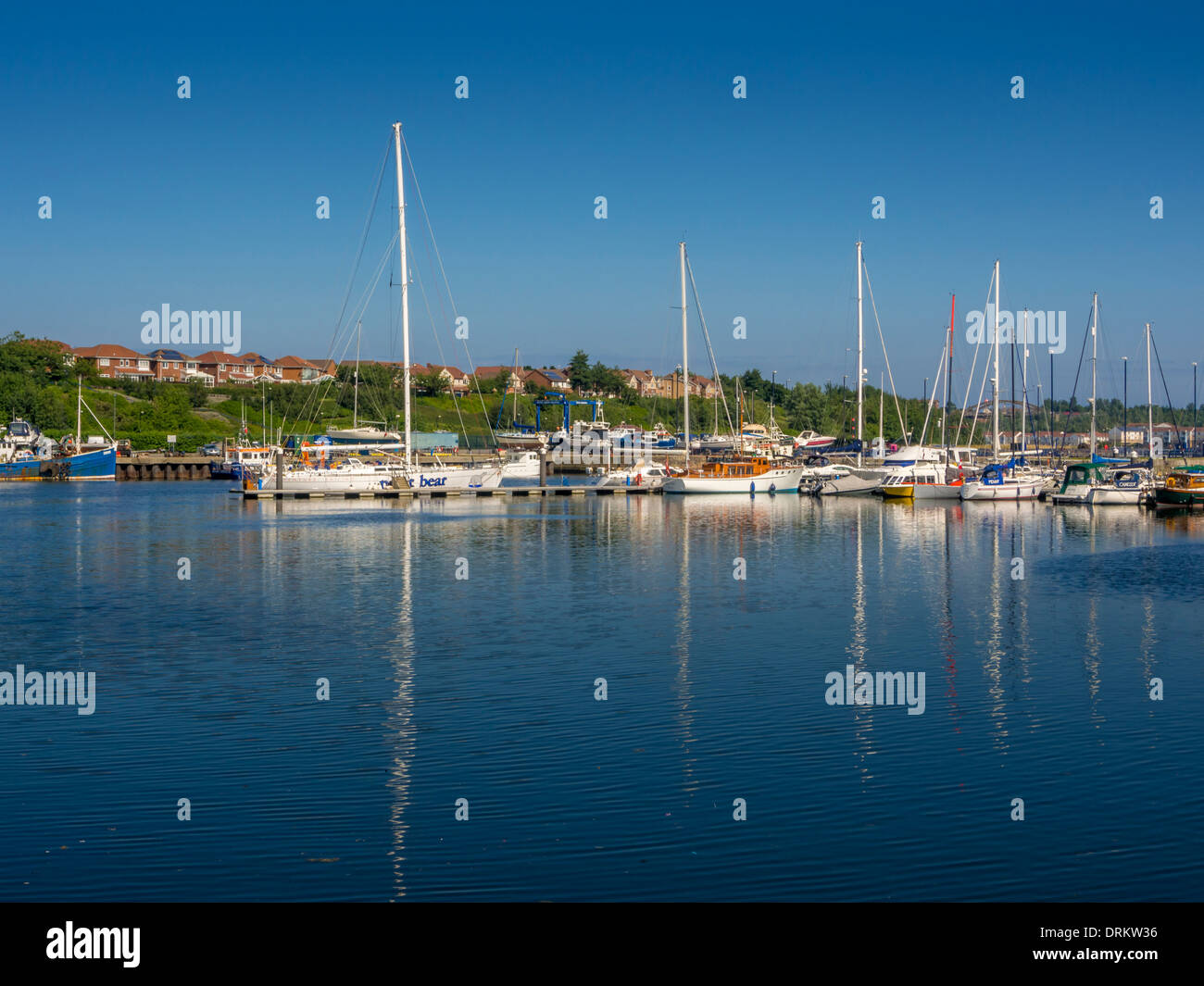 Royal Quays Marina. North Shields, Tynemouth Stock Photo Alamy