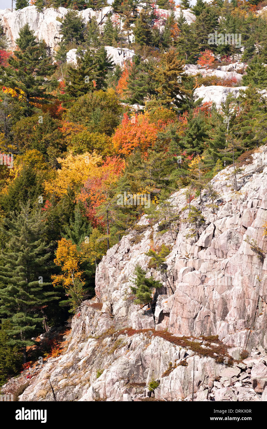 Trees and and rocky cliff in Killarney Provincial Park, Ontario, Canada. Stock Photo