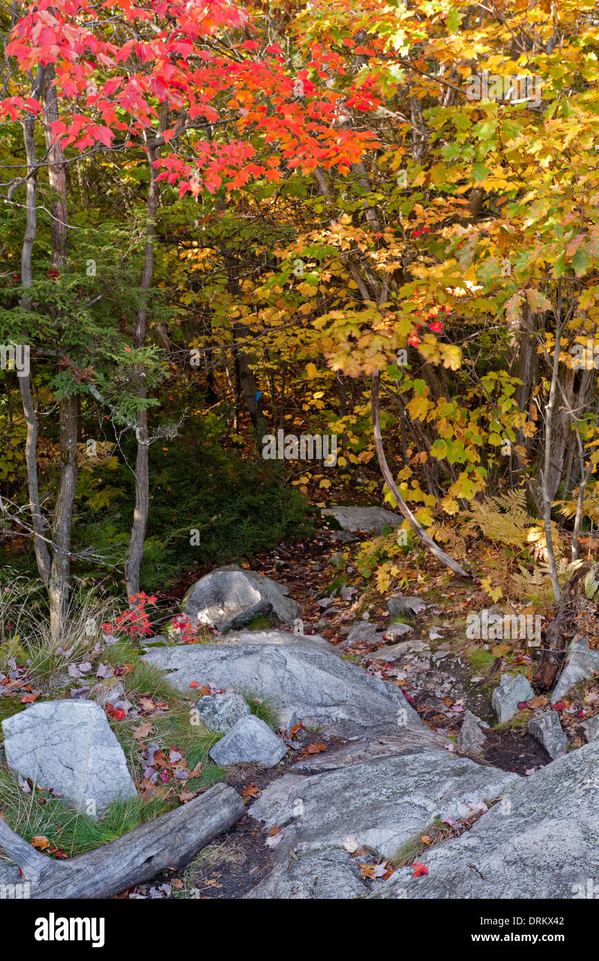 A hiking trail leads down a rocky path on 'La Cloche Silhouette Trail' in Killarney Provincial Park in Ontario, Canada. Stock Photo