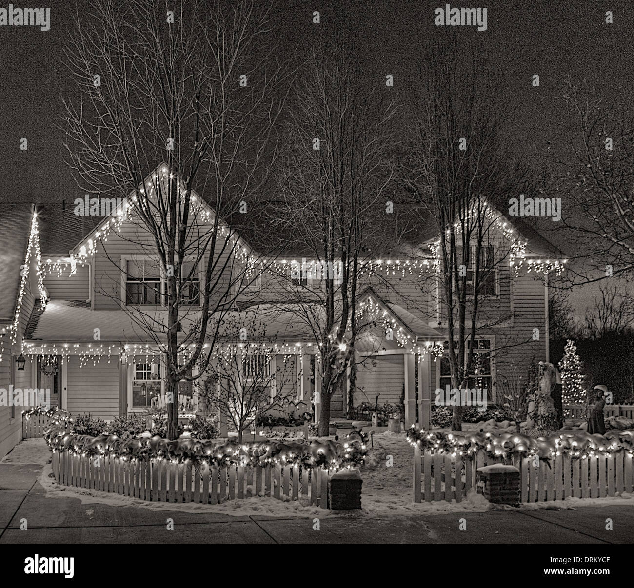 Christmas lights in black and white Stock Photo Alamy