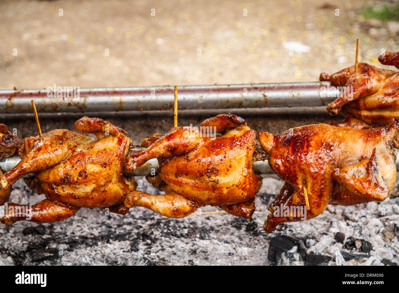 Big chicken grill machine / Best Grilled Chicken : Germany. 