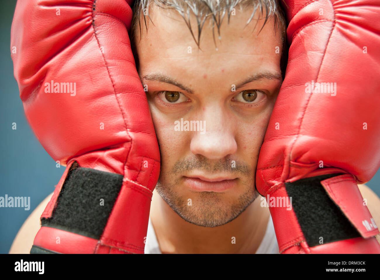 Boxer with red boxing gloves hires stock photography and images Alamy
