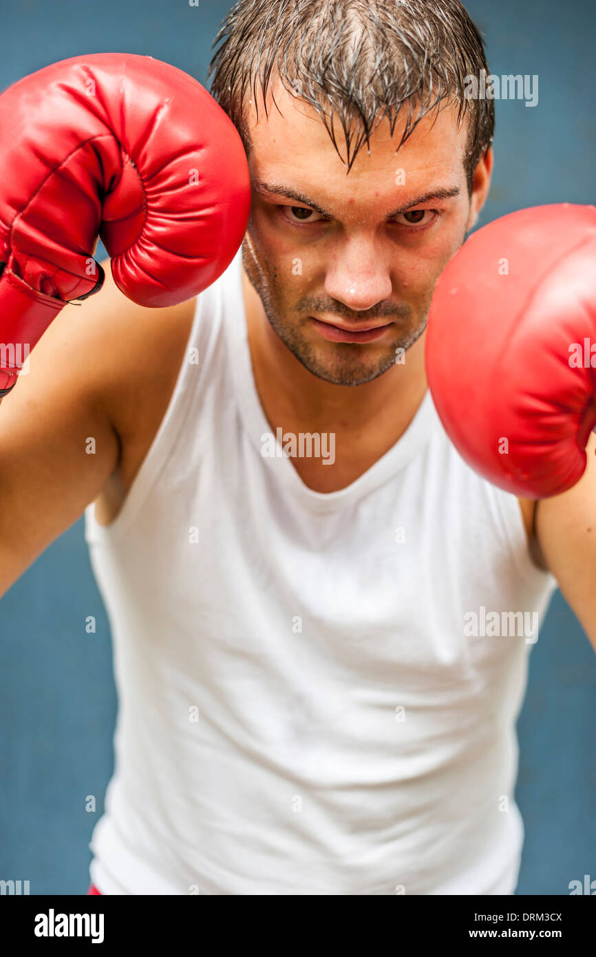 Boxer with red boxing gloves fighting Stock Photo Alamy
