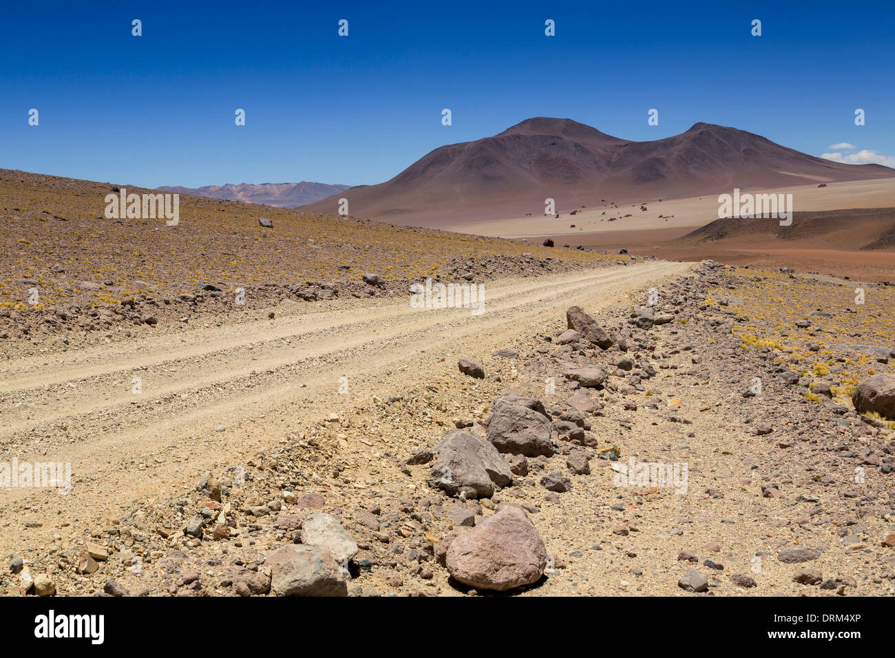 Bolivia, Atacama Desert, Dirt track through Salvador Dali Desert Stock Photo