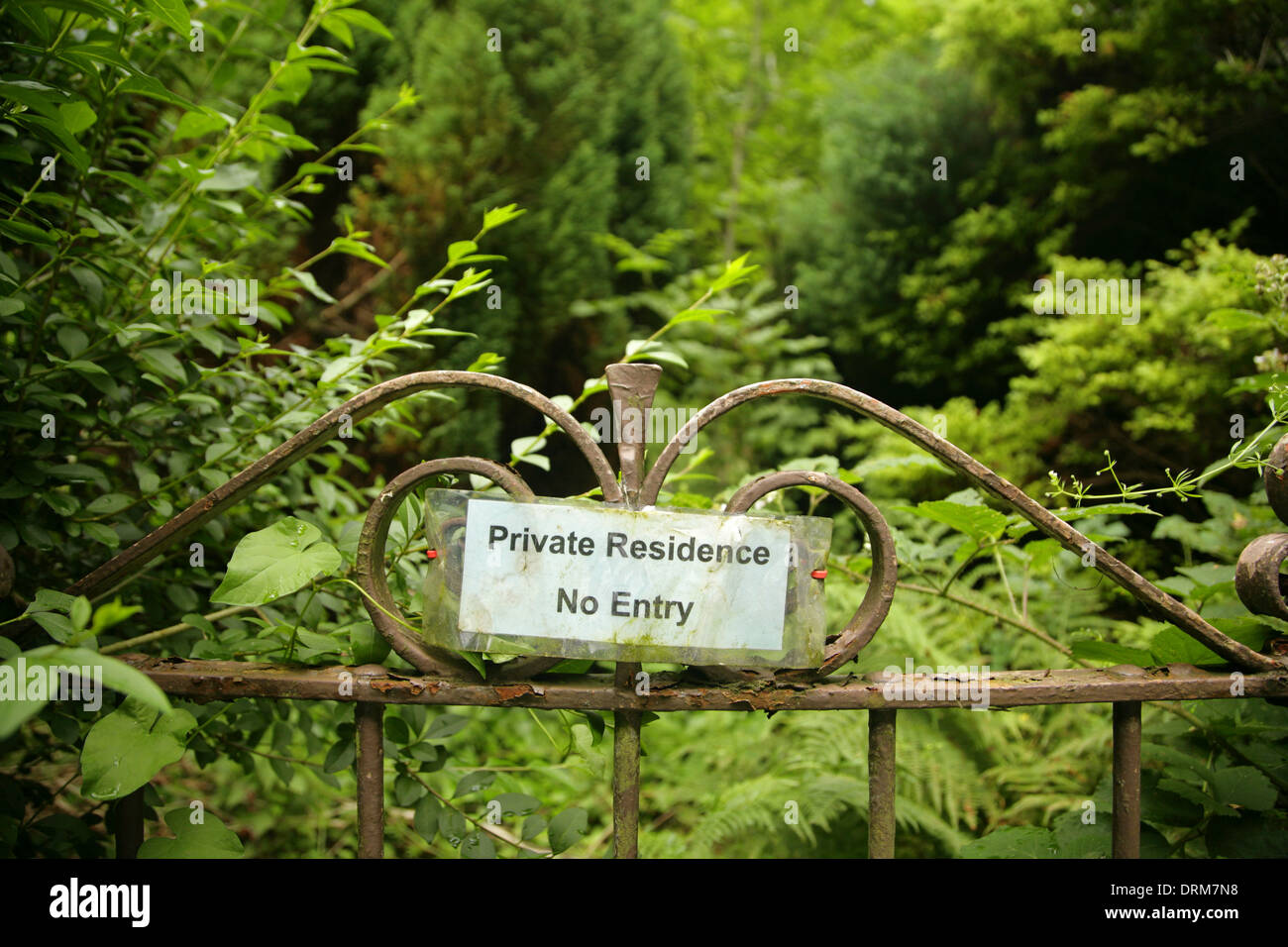 No Entry sign on old wrought iron front gate of very overgrown garden. Stock Photo