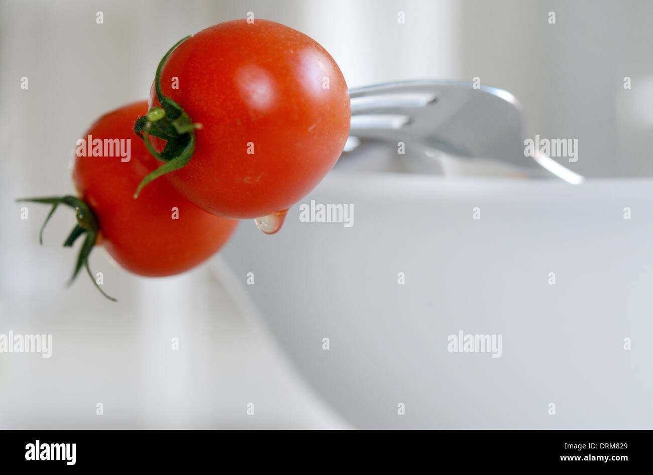 Two forks rising from a bowl and having speard each a tomato. Stock Photo
