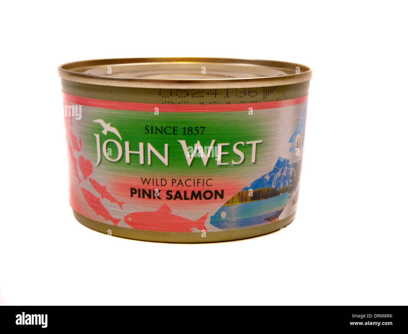 Pink salmon tin hires stock photography and images Alamy