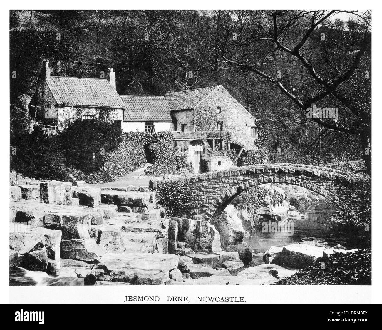 Jesmond Dene, Newcastle Photographed Circa 1910 Stock Photo