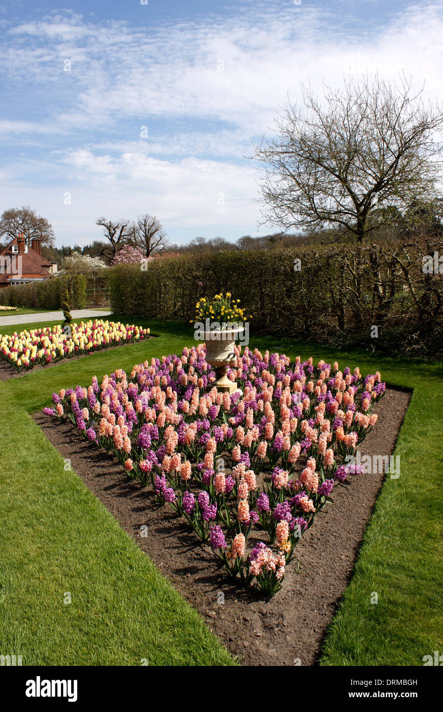 Spring Flowerbed Colourful spring flowerbed hi-res stock photography and images - Alamy