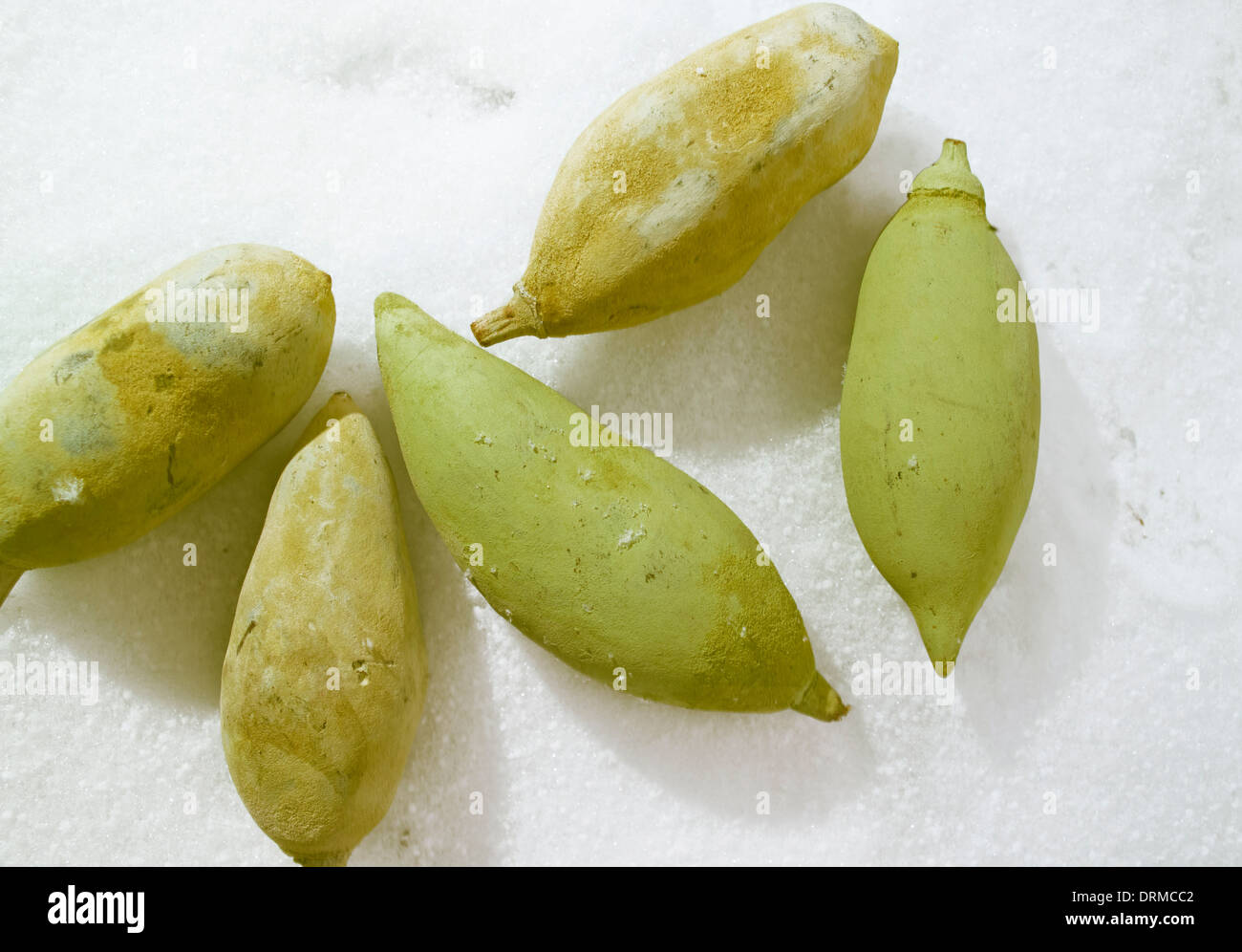 group of exotic frozen fruits Stock Photo Alamy