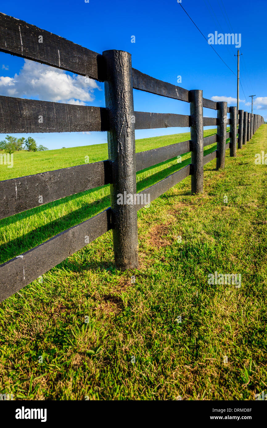 Black horse farm fence Stock Photo Alamy