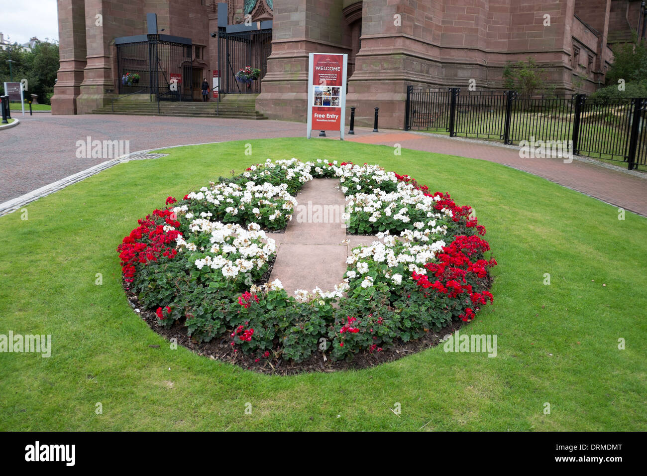 Flowers in garden Liverpool Anglican Cathedral Liverpool UK Stock Photo