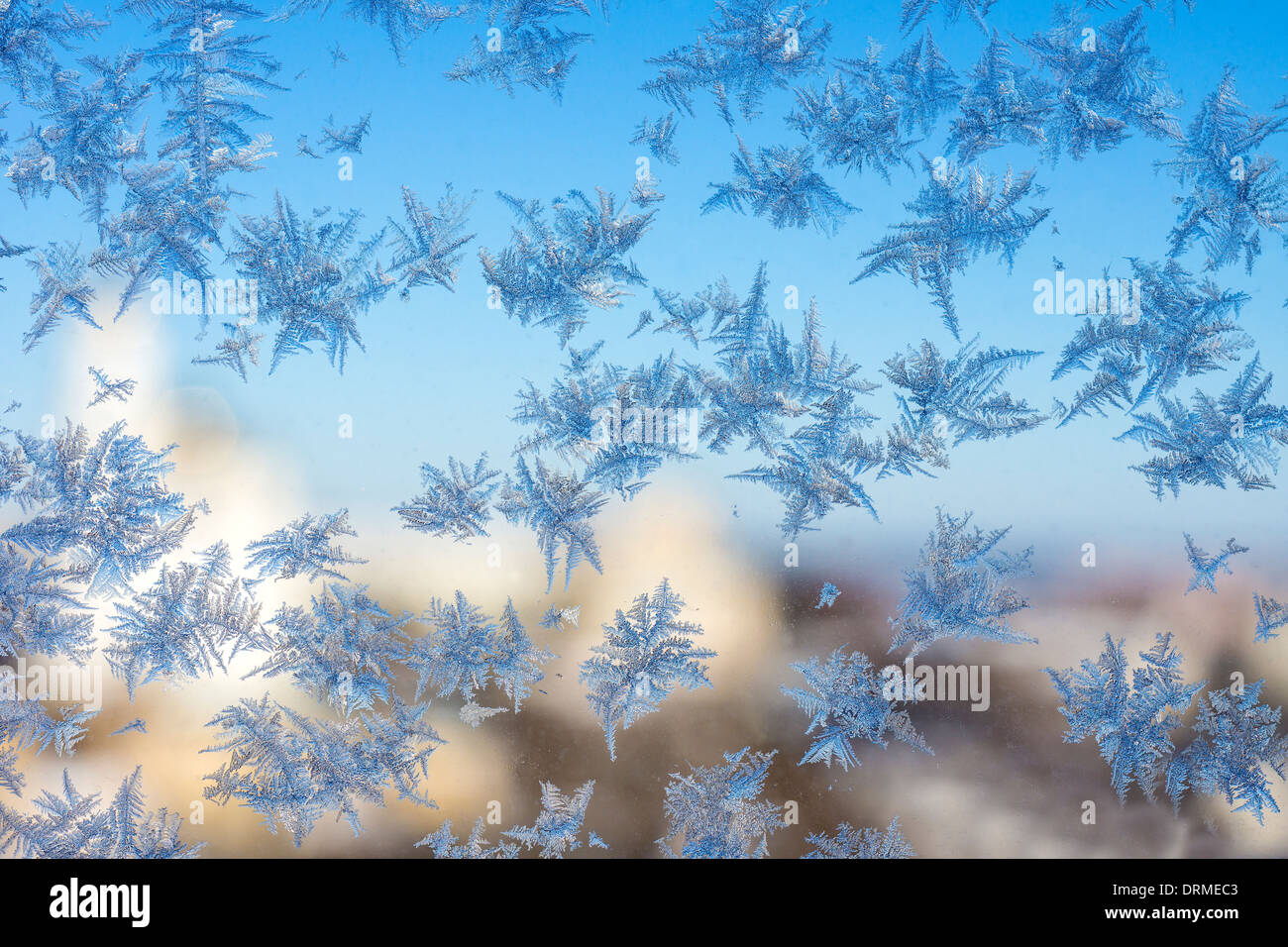 Closeup of winter patterns on window glass Stock Photo