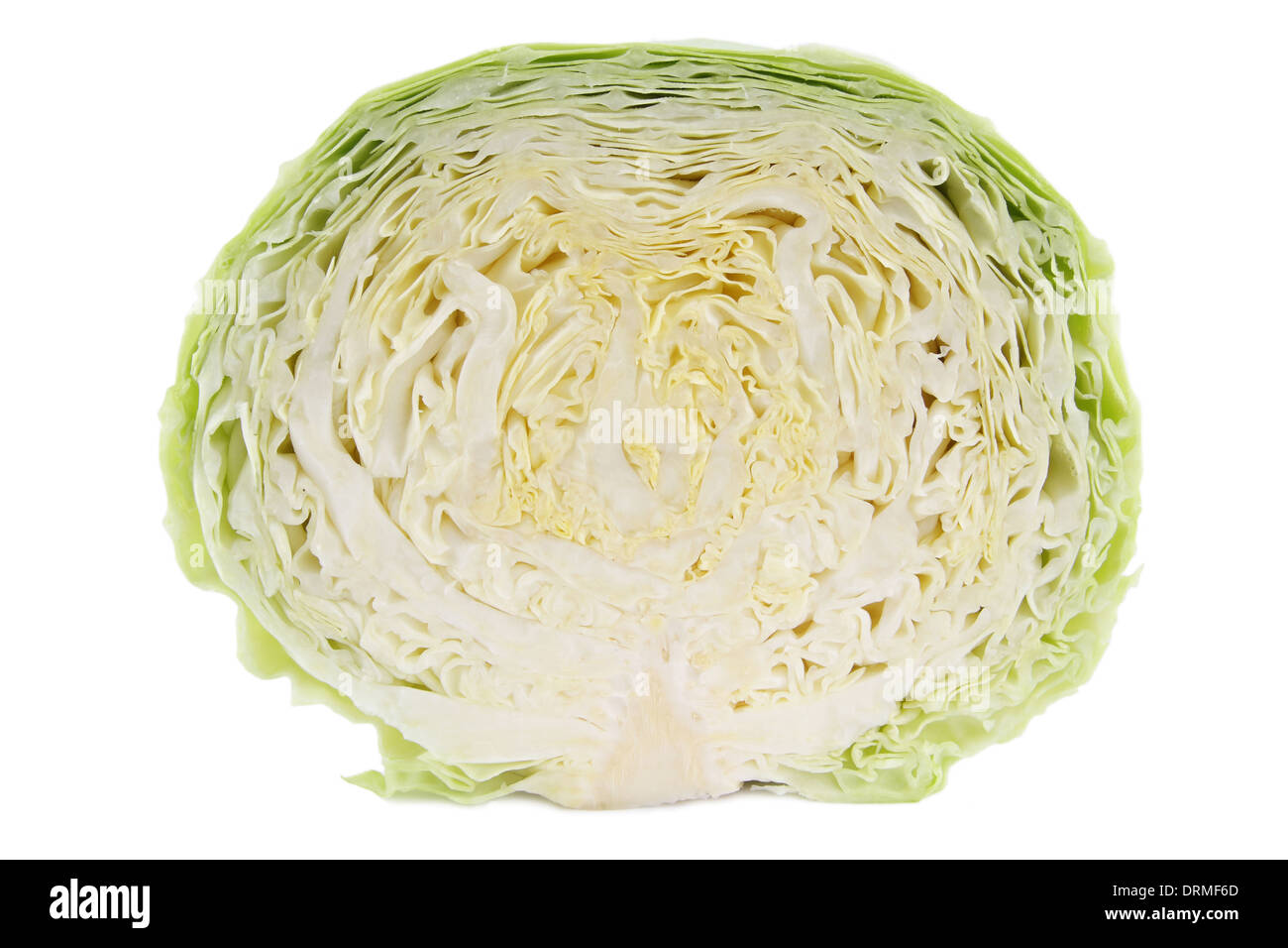 cabbage Stock Photo