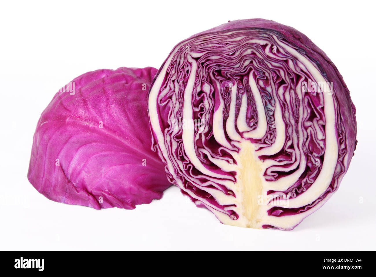purple cabbage Stock Photo