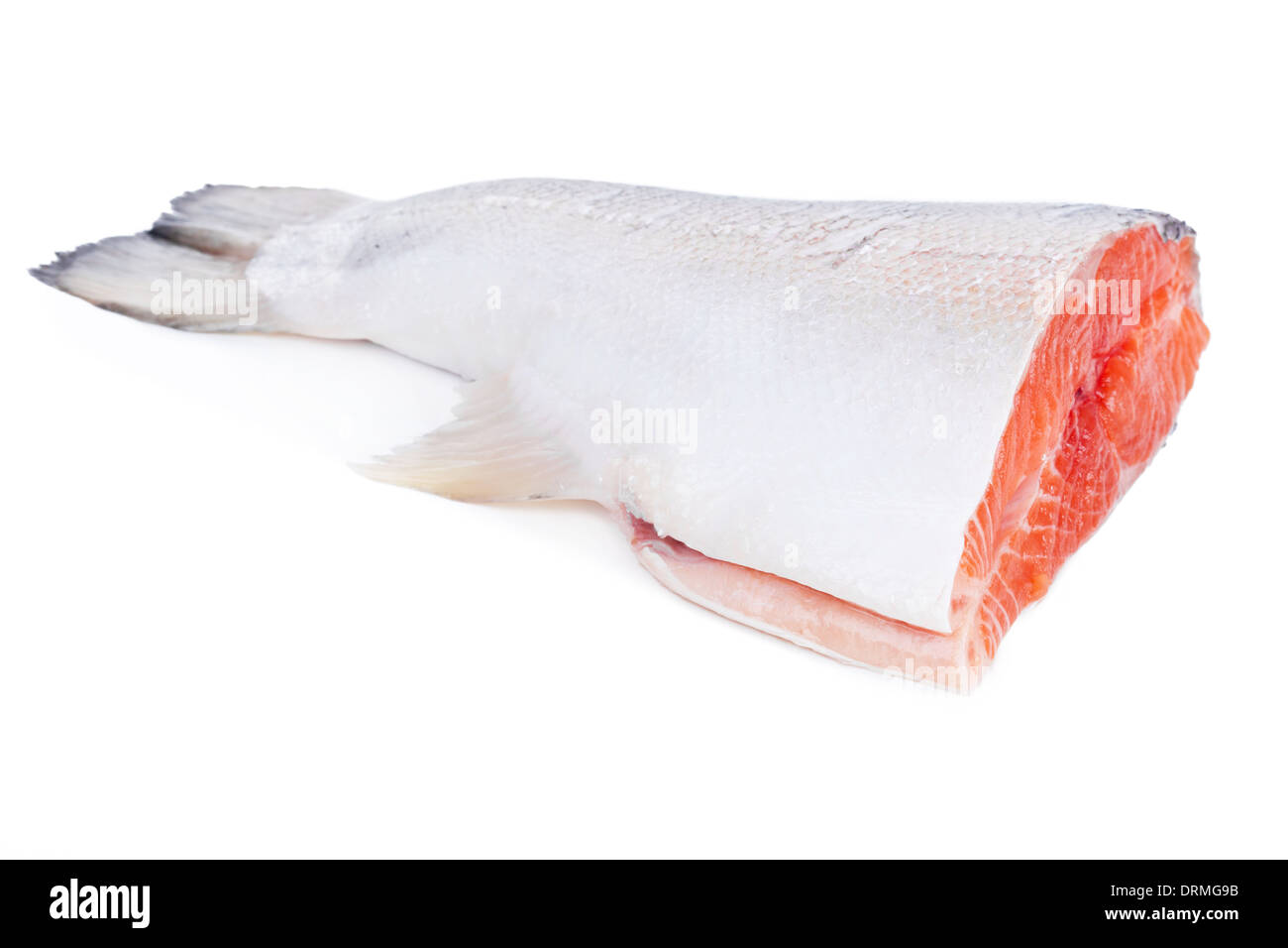 Trout isolated on white background Stock Photo - Alamy