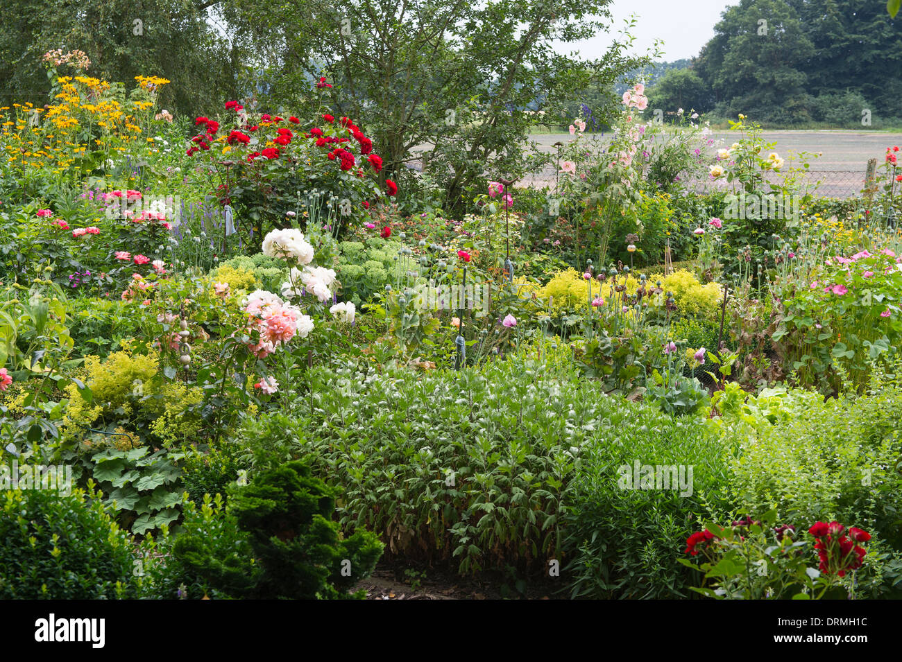 cottage garden in elsten, lower saxony, germany Stock Photo
