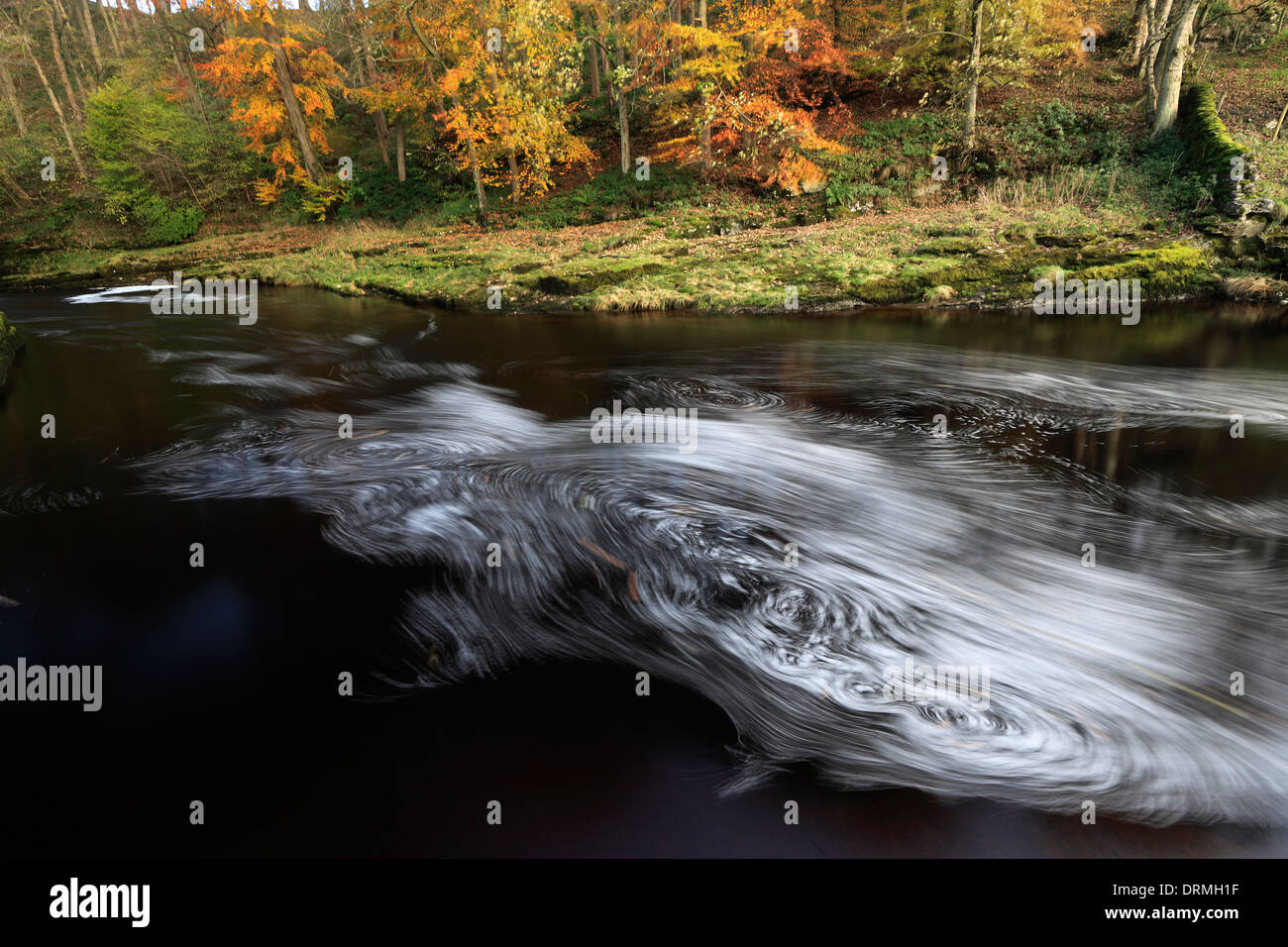 Autumn, River Ribble, Yorkshire Dales National Park, England, UK Stock Photo
