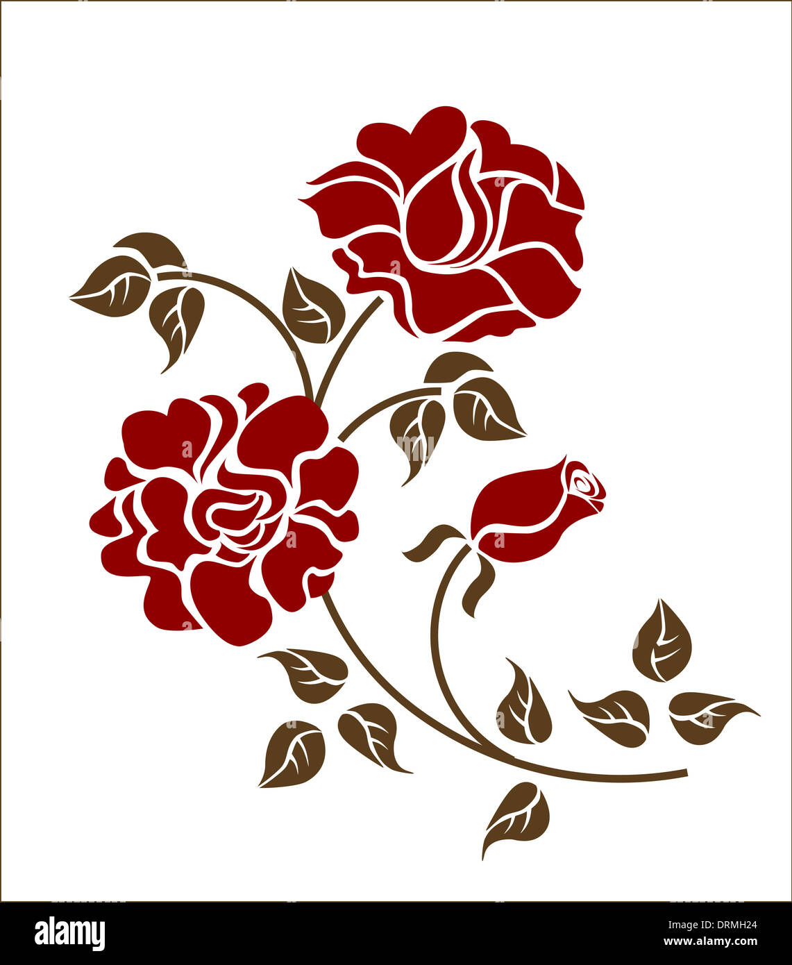 red roses on the white background Stock Photo