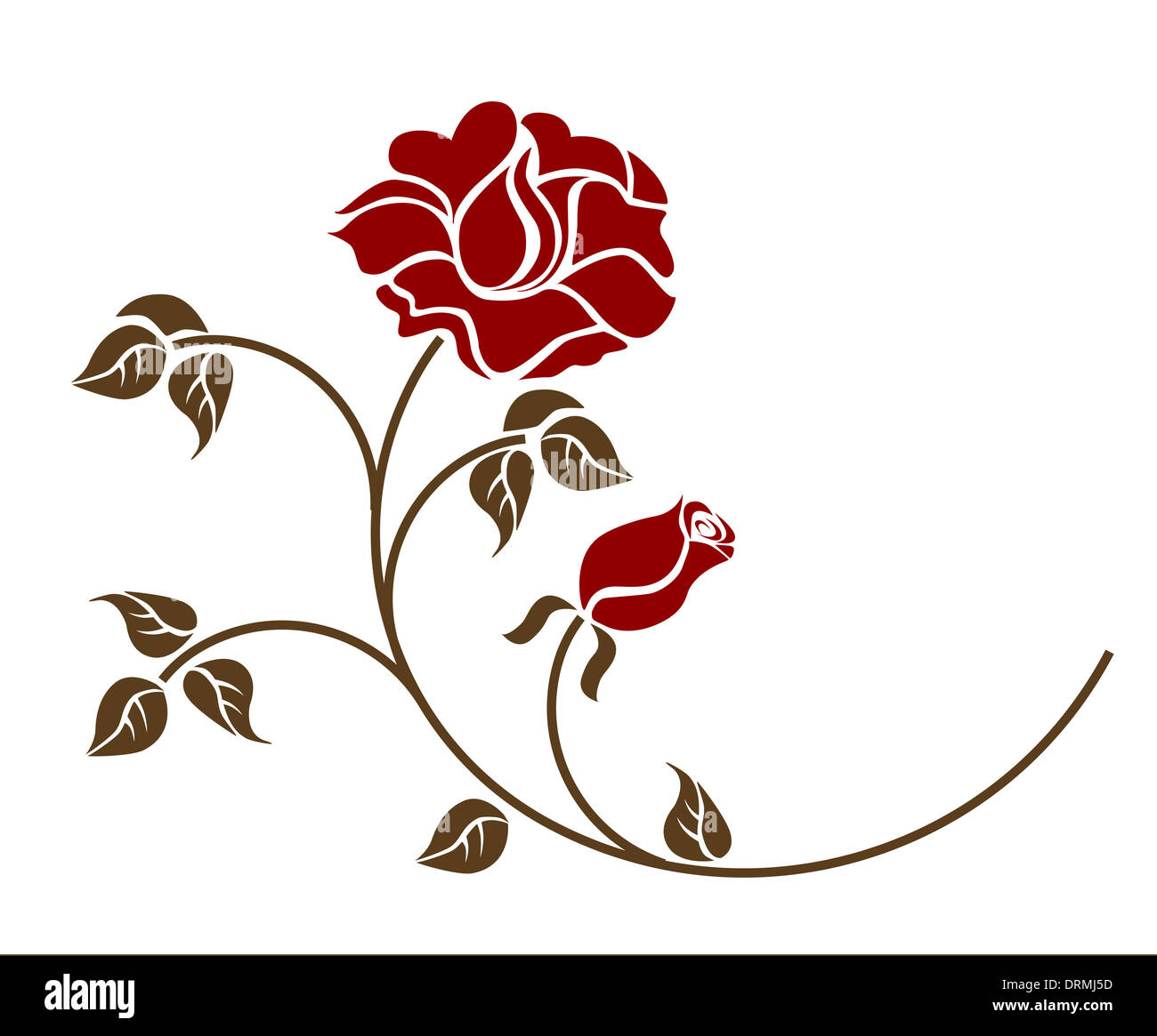 red roses on the white backgroud. Stock Photo