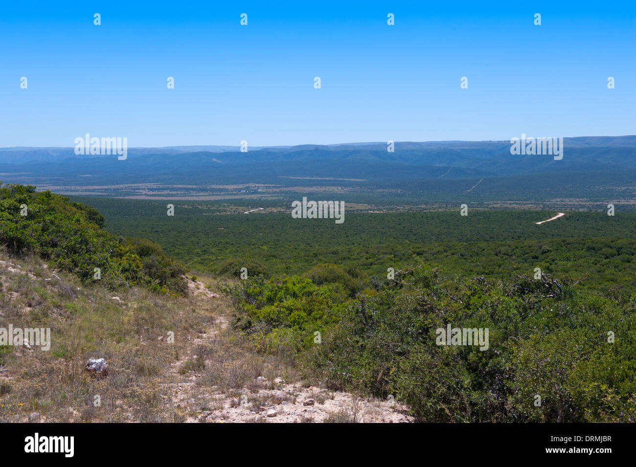 Addo Elephant National Park panoramic landscape view, Eastern Cape, South Africa Stock Photo