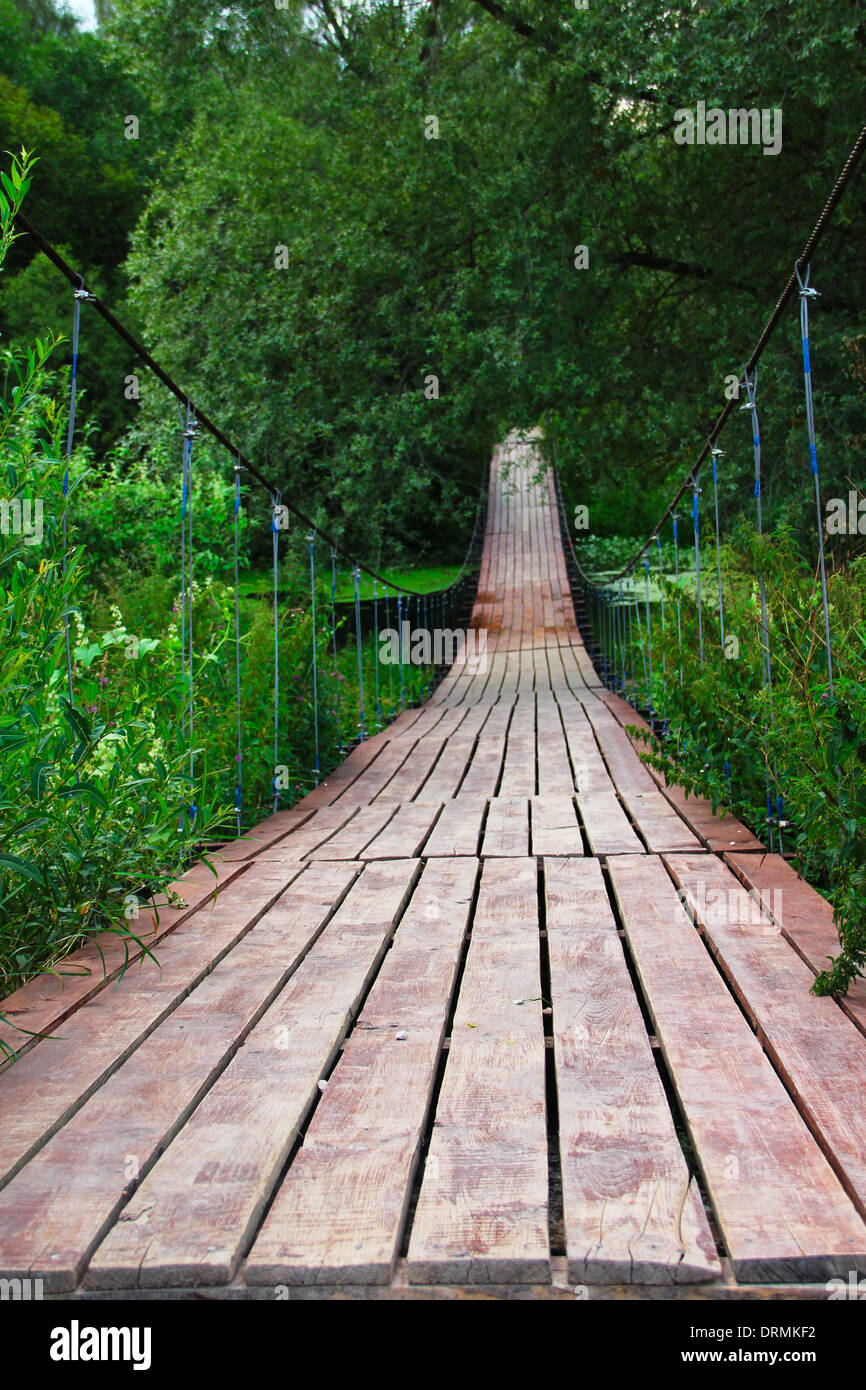 Wooden bridge in forest over the swamp Stock Photo Alamy