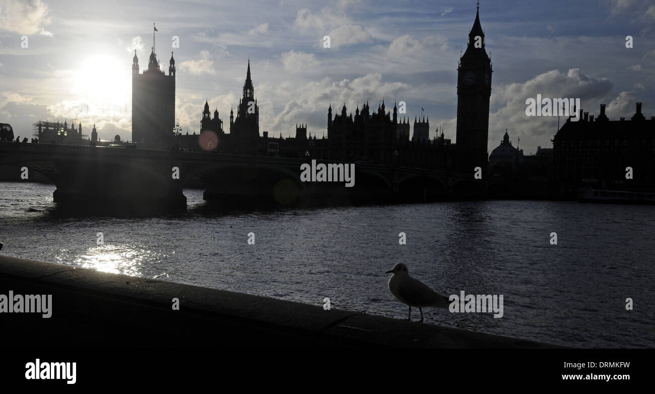 Seagull and River Thames and Houses of Parliament with Big Ben and Westminster Bridge London England Stock Photo